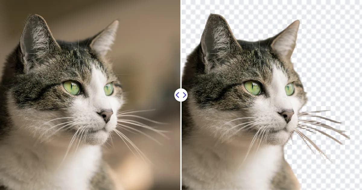 Clean, High-Quality Cutouts Every Time